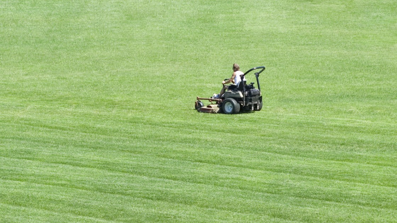 Lawn Mowing Services